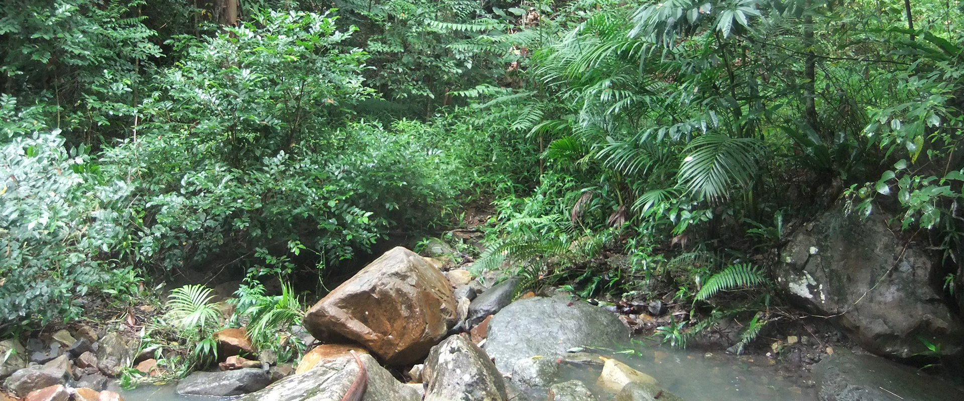 private-land-conservation-terragon-nsw